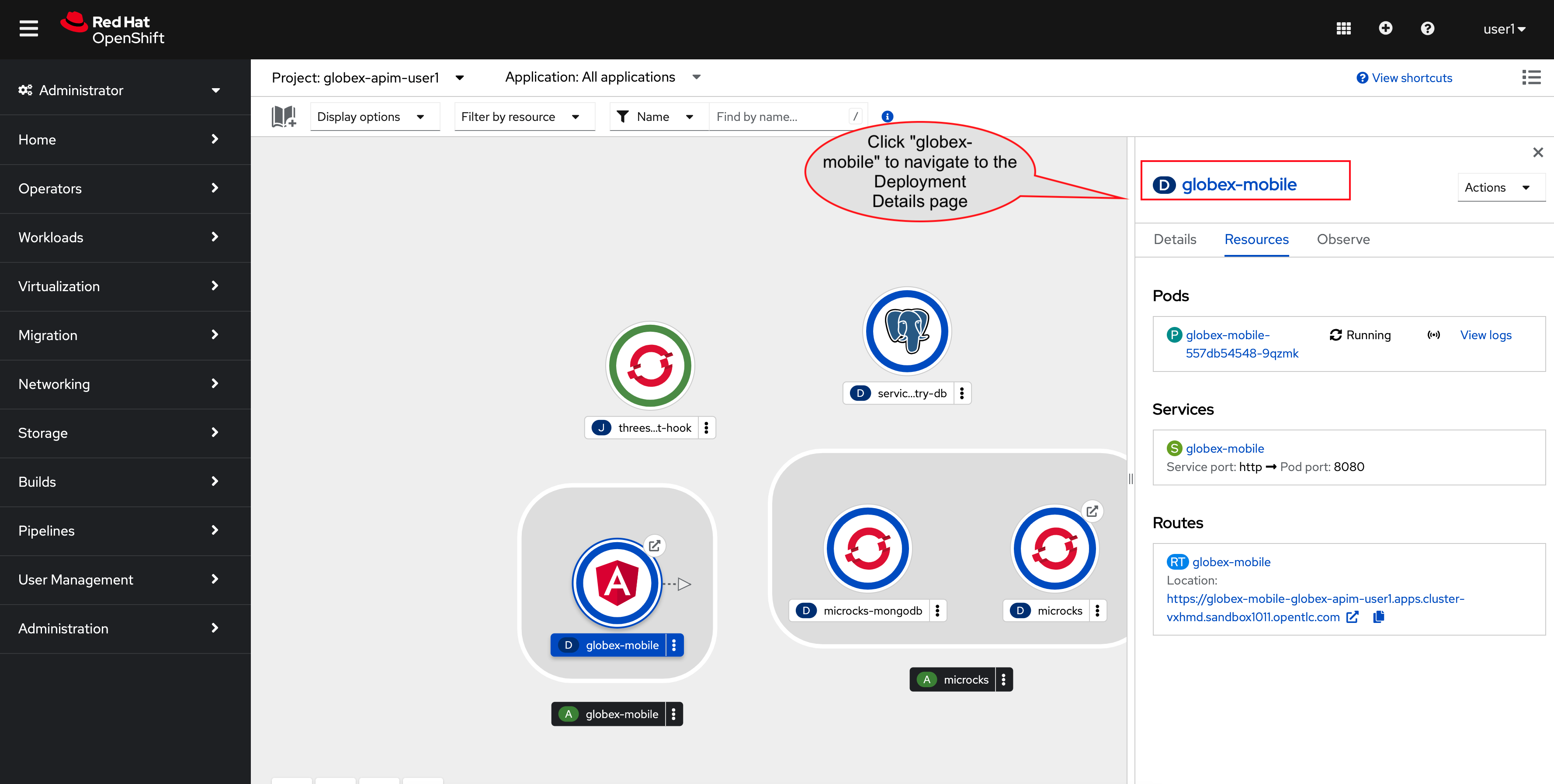 apim mobile deployment panel