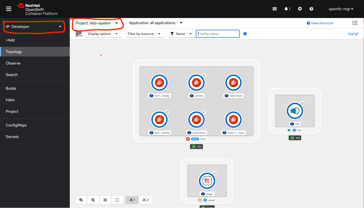 istio-project-navigation