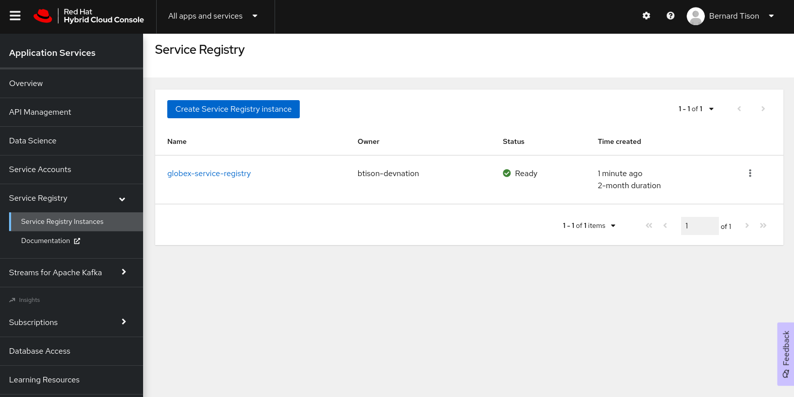 service registry instance