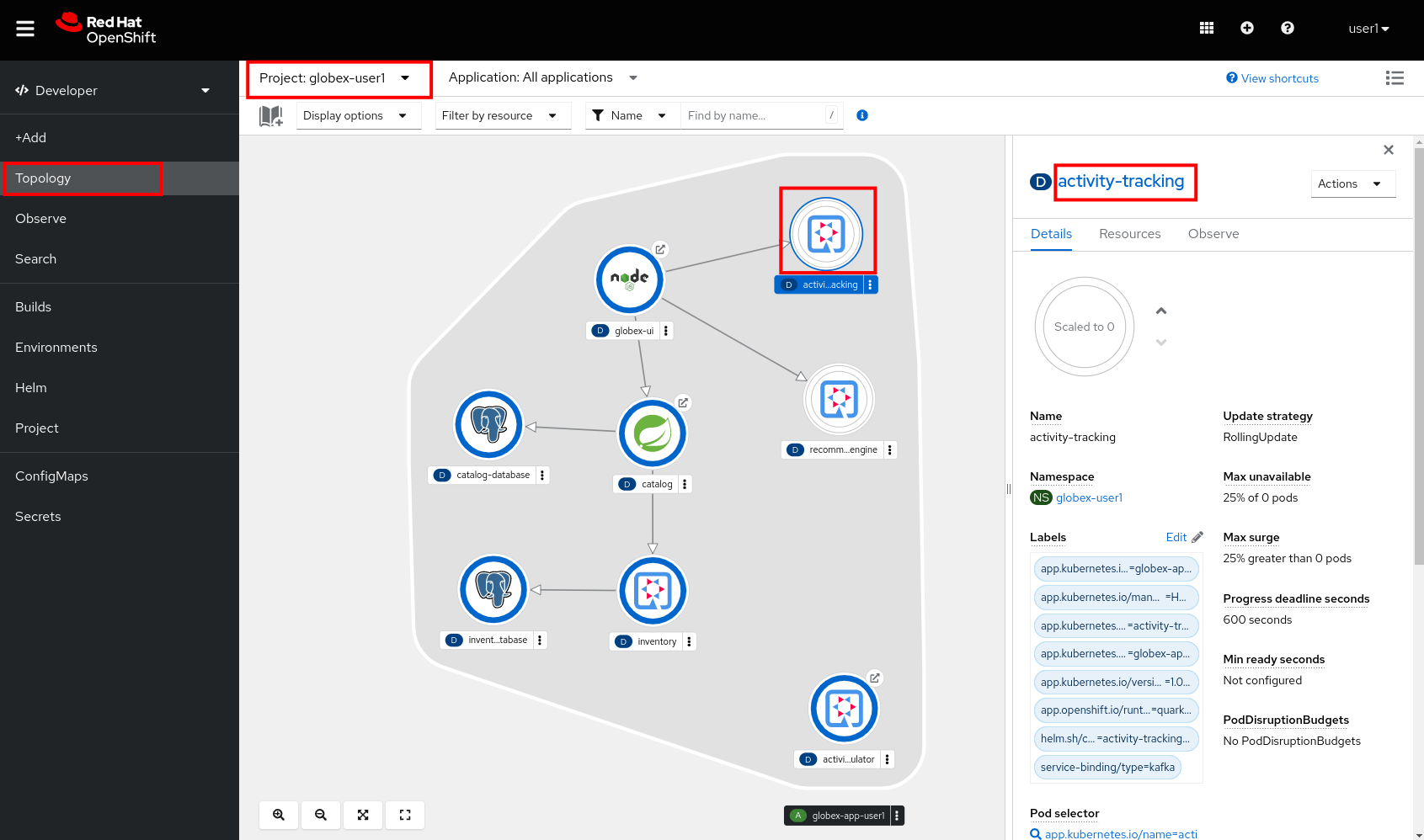 openshift console topology deployment details